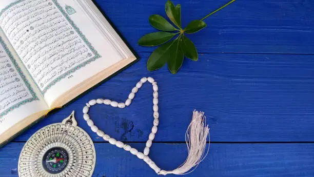 best quran teacher online