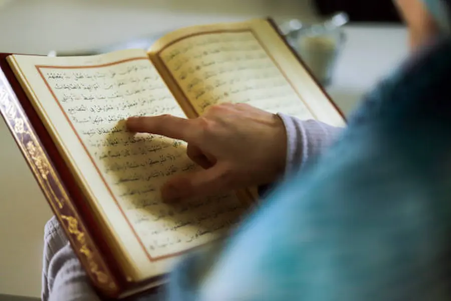 learn quran online