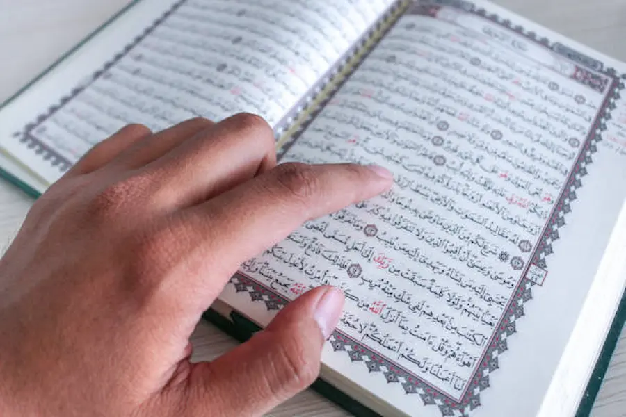 learn quran with tajweed