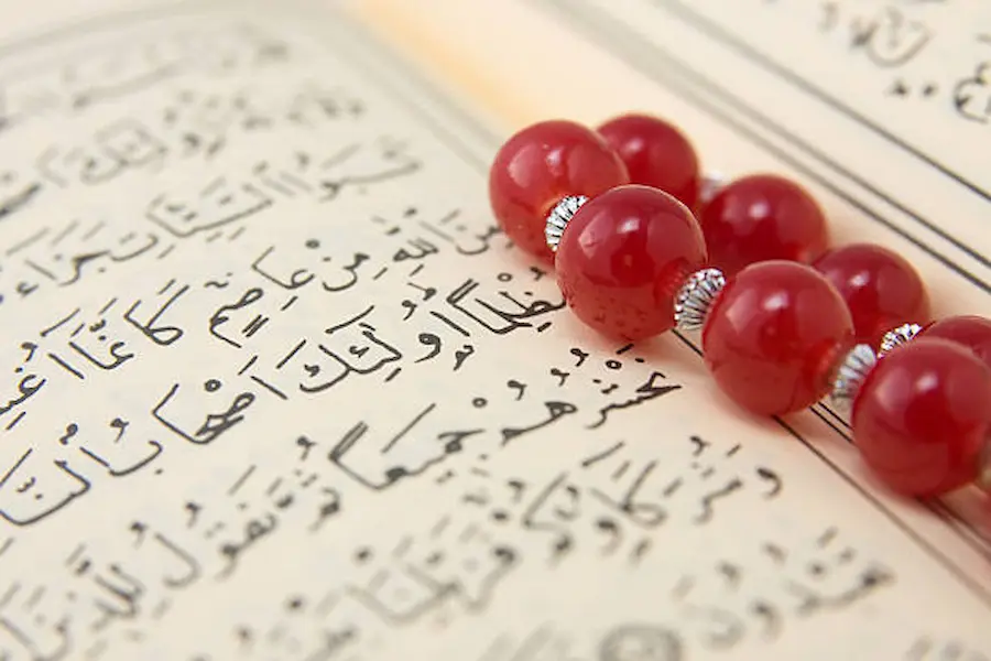 quran tajweed online